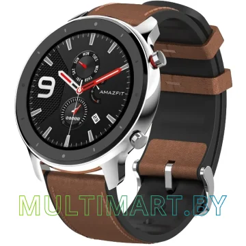 Смарт-часы Amazfit GTR 47мм (нержавеющая сталь)